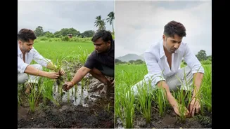 Varun Dhawan Says 'Kheti Shuru' As He Drops Pics From New Farm, Bhumi Pednekar Calls It 'Best Life'