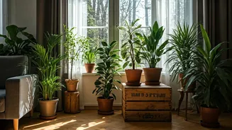 Green Up Your Space: Simple Eco-Decor Ideas