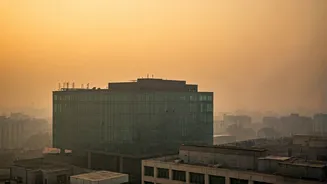 Delhi's Air Quality Crisis: A Critical Update