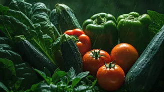 Fresh Vegetables Grow Faster During Monsoon