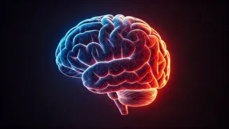 Understanding Challenges in Mental Health: A Modern Perspective