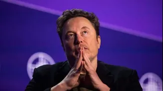 Musk lost $21B in hours: What hit his trillion-dollar fortune?