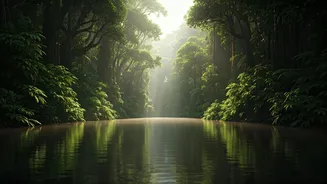 India's Mystical 'Silent River': Unveiling the Secrets of the Kunthipuzha