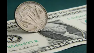 RBI Should Use Forex Reserves To Support Indian Rupee: SBI Report