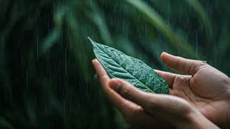 Experience-First Monsoon Travel Is India’s New Mood