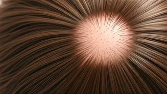Scalp Care Is The Fix You've Missed