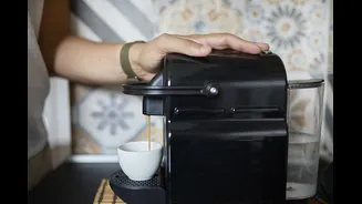 Estudo aponta como café interfere no controle cerebral dos movimentos