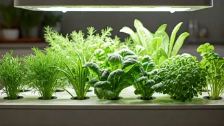 Related Stories banner