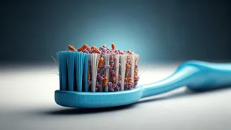 Unveiling the Hidden World: Germs on Your Toothbrush!