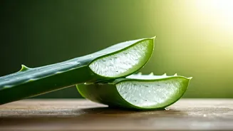 Unlock Radiant Skin: 5 Simple Homemade Aloe Vera Treatments for a Natural Glow