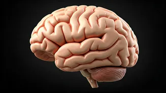 Ace Interviews: Mastering the 7-38-55 Rule