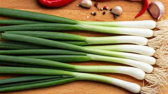 10 Spring Onion Dishes: A Culinary Adventure