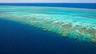 Maya Bay's $250 Fine: Dive into Thailand's Strict Rules for Pristine Paradise