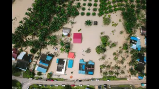 El Niño Threatens Palamu's Fragile Agriculture Amid Severe Rainfall Deficit