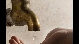 Over 20% Of Delhi’s Groundwater Samples Unsafe Due To High Nitrate Levels: CGWB Report