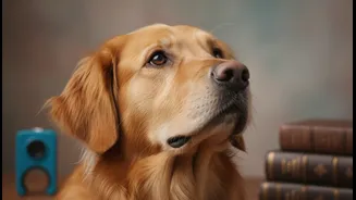 The Real Cost Of Pet Parenting Includes Training And Behaviour Support