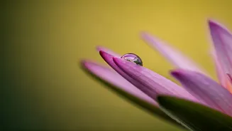 Sudha Murty's Ten Timeless Truths for a Meaningful Life