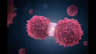 'I’m Too Young for Cancer': Why Age Is No Longer A Protective Shield