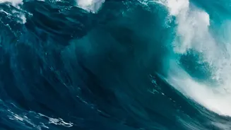 Tsunami Warnings Follow Japan Quakes Because Seafloor Movement Can Displace Water