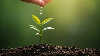 Environmental Education Is Inspiring Action