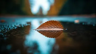 Kafka's Wisdom: Unlock the World by Staying Still