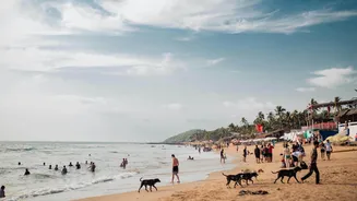 Goa boardwalks that may disappoint sunset lovers
