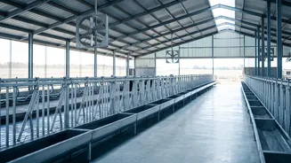 How Heat Stress Could Affect Milk Production Across India