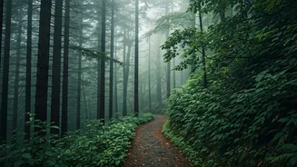 Mahabaleshwar Secluded Cloud Forests Trend For Romantic Monsoon Honeymoons