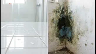Low-Chemical Monsoon Cleaning Is Useful Context, Not a Guarantee, for Renters and Home Cleaners