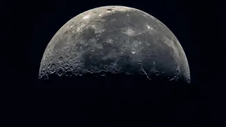 The Moon's Harsh Surface May Still Have Small Spaces Where Microbes Survive