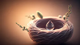 The Crucial Fourth Trimester: Rethinking Postpartum Care in India