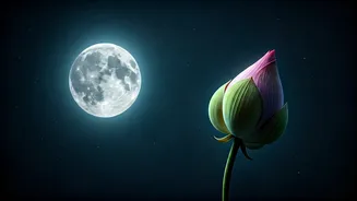 Unveiling the Moon's Mystical Hold: How Celestial Shifts Shape Your Inner World