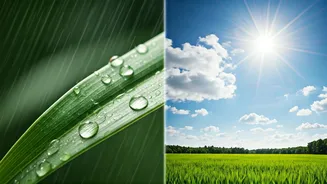 Monsoon Acne Isn't The Same As Summer Breakouts