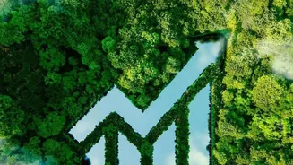 LRS Figures Offer the Clearest Measure of Indian Overseas Equity Flows