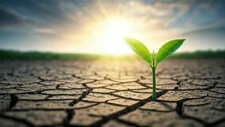 Related Stories banner