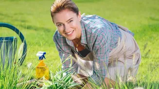 The Latest August Gardening Advice Keeps The Focus On Clear Drainage