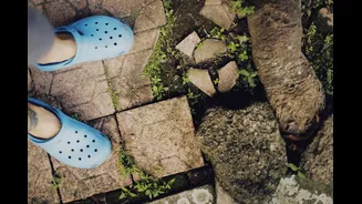 Infosys Secures $200-300 Million IT Deal with Crocs