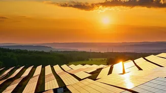 Solar Energy Emerges As A Top Indian Growth Sector