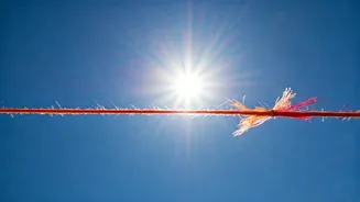 Kite Flying & Legal Liability: A Look at Indian Law