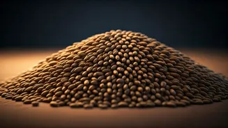 Uttar Pradesh Wheat Procurement: 6.10 Lakh Tonnes Acquired, Rs 1,318 Crore Paid to Farmers in April