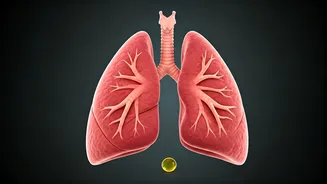 Unlocking Vitamin D: Why Your Snore Might Be a Silent Alarm!