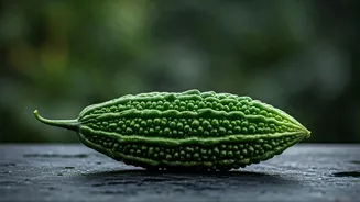 Karela Fans Finally Get Their Favourite Season
