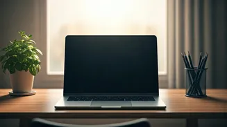Digital Breaks Help You Recharge Better