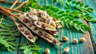 Why you must add moringa to your diet