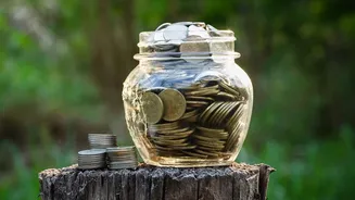 How Young Professionals Maximise Interest Earnings On Three Month Emergency Funds Safely