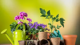 Seasonal Gardening Is Offering A Straightforward Way To Refresh Indian Balcony Spaces