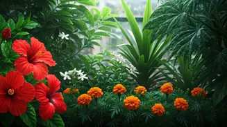 Balcony Gardening This Monsoon? Pick These Rain-Loving Plants
