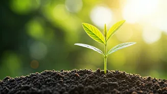 This Lifestyle Trend Helps The Planet