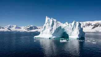 Weather, Cabin Type And Voyage Length Drive The Final Cost Gives Classic Peninsula Voyages Can Cost Roughly $9,000 To $16,000 All-In A More Practic...