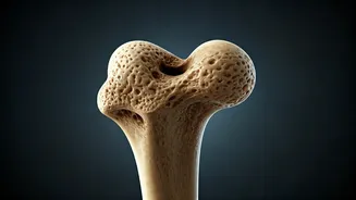 Bone Health: How Meal Timing Affects Your Bones